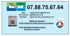 MJPB BIEN ÊTRE Boutique 
